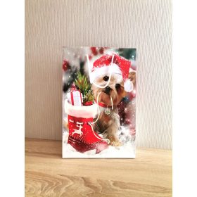 Dísztasak 22 x 33 cm